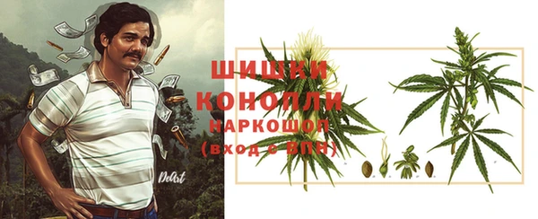 дживик Арсеньев