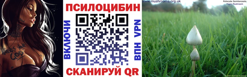 Псилоцибиновые грибы Magic Shrooms  даркнет сайт  маркетплейс как зайти  Зима 