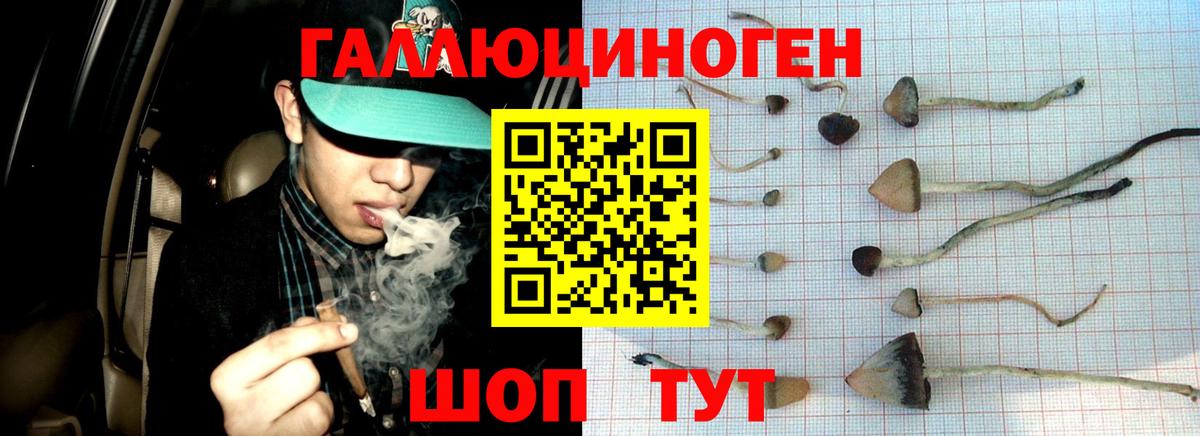 где можно купить наркотик  Галлюциногенные грибы MAGIC MUSHROOMS  Зима  Вход с VPN  Галлюциногенные грибы прущие грибы 
